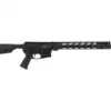 Ruger AR-556 Rifle